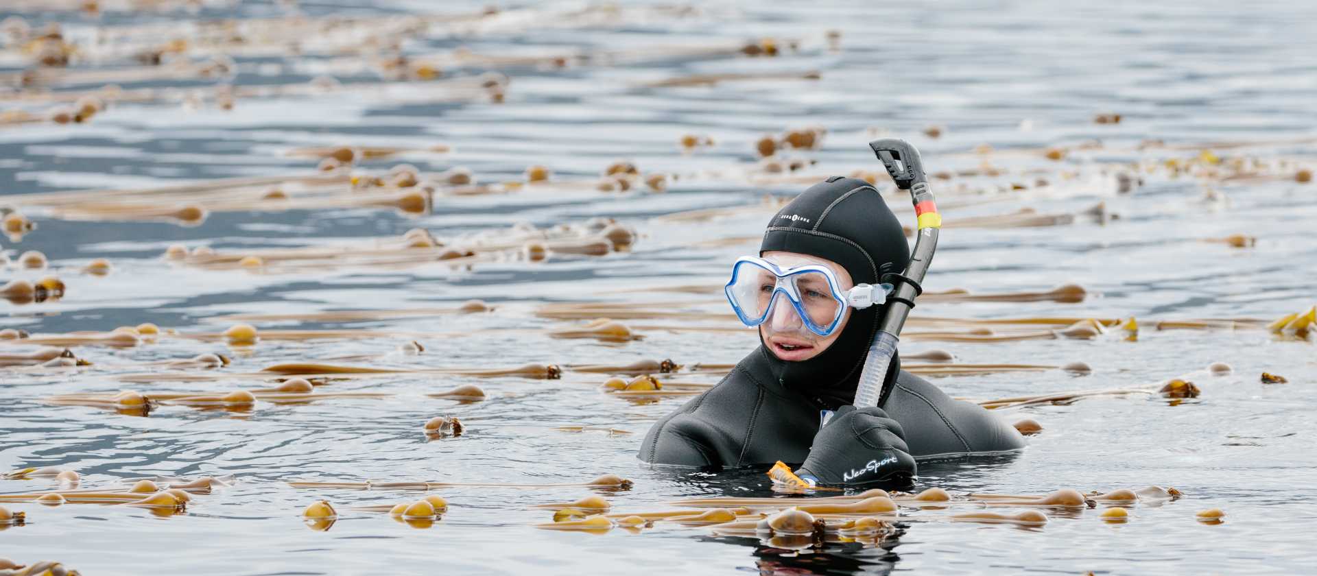 Snorkelling is an option on some voyages in Alaska
