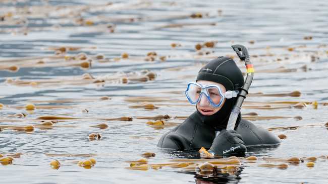 Snorkelling is an option on some voyages in Alaska