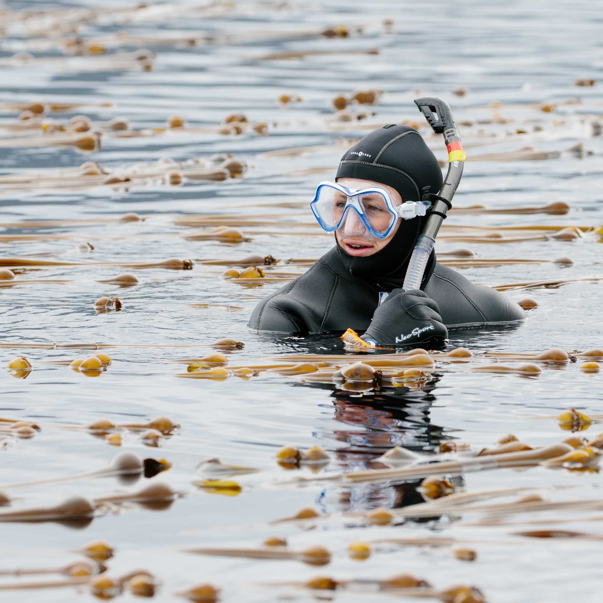Snorkelling is an option on some voyages in Alaska