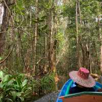 Access deeper into Sebangau National Park by canoe