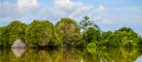 Explore the Kahayan River by boat