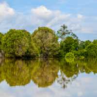 Explore the Kahayan River by boat