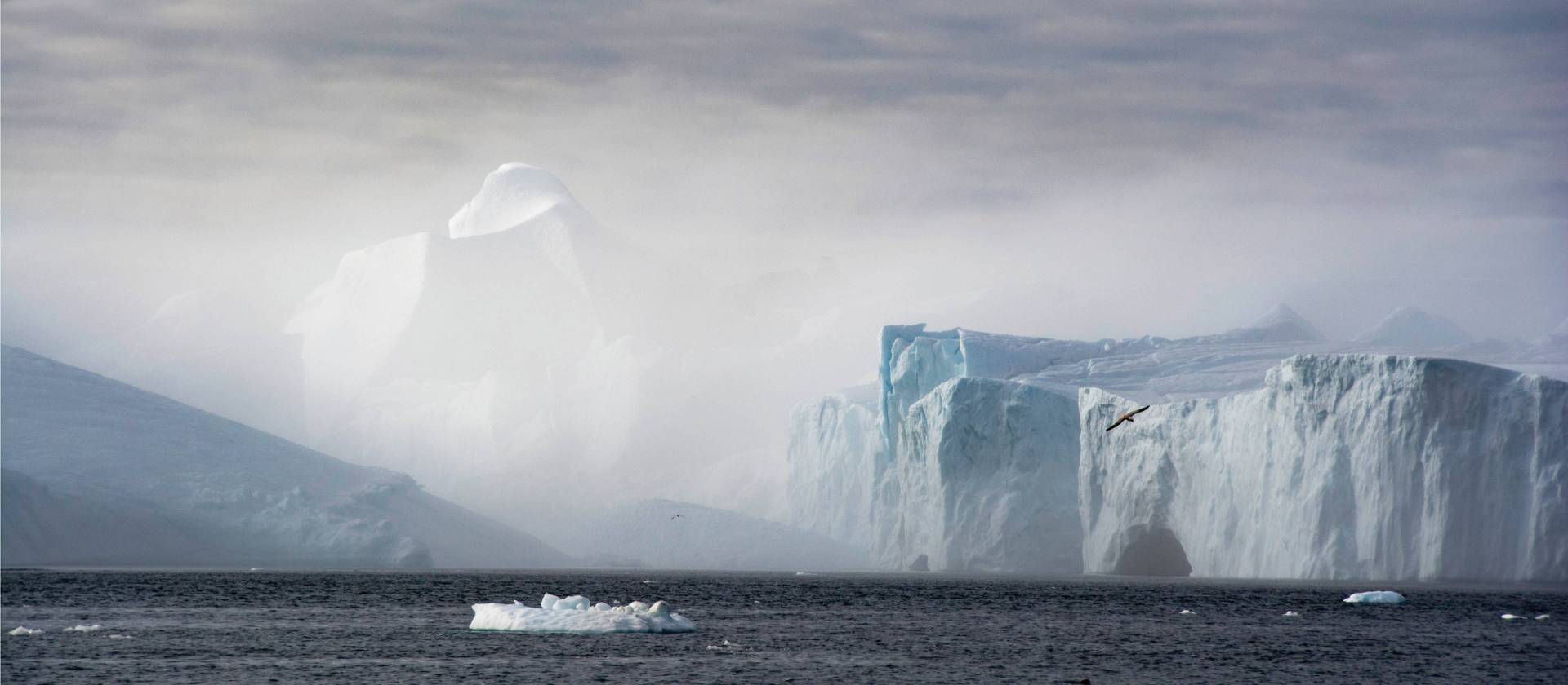 Spectacular tabular icebergs, Northwest passage | Dennis Minty