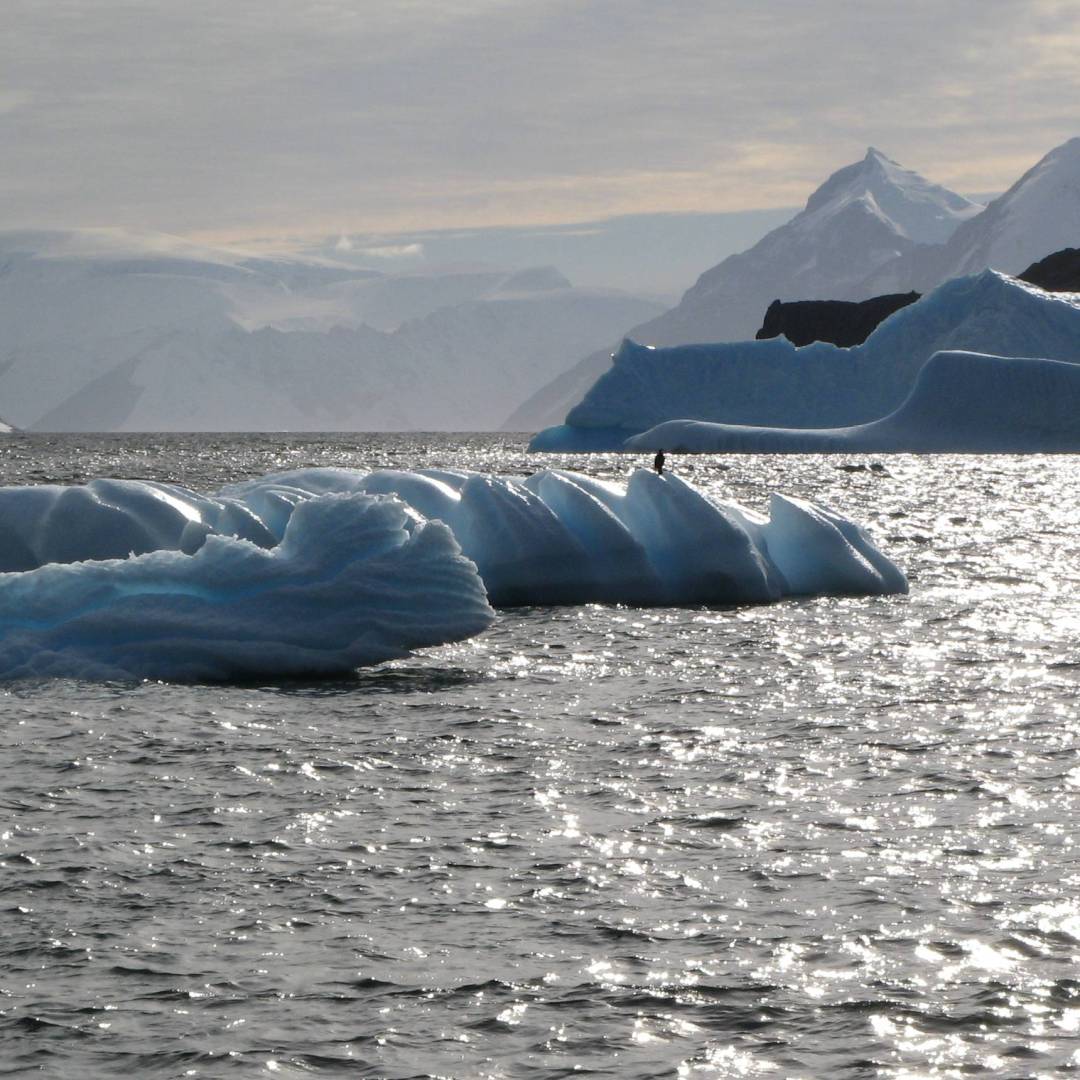 The stunning landscape of the Antarctic Peninsula. | Sarah Higgins
