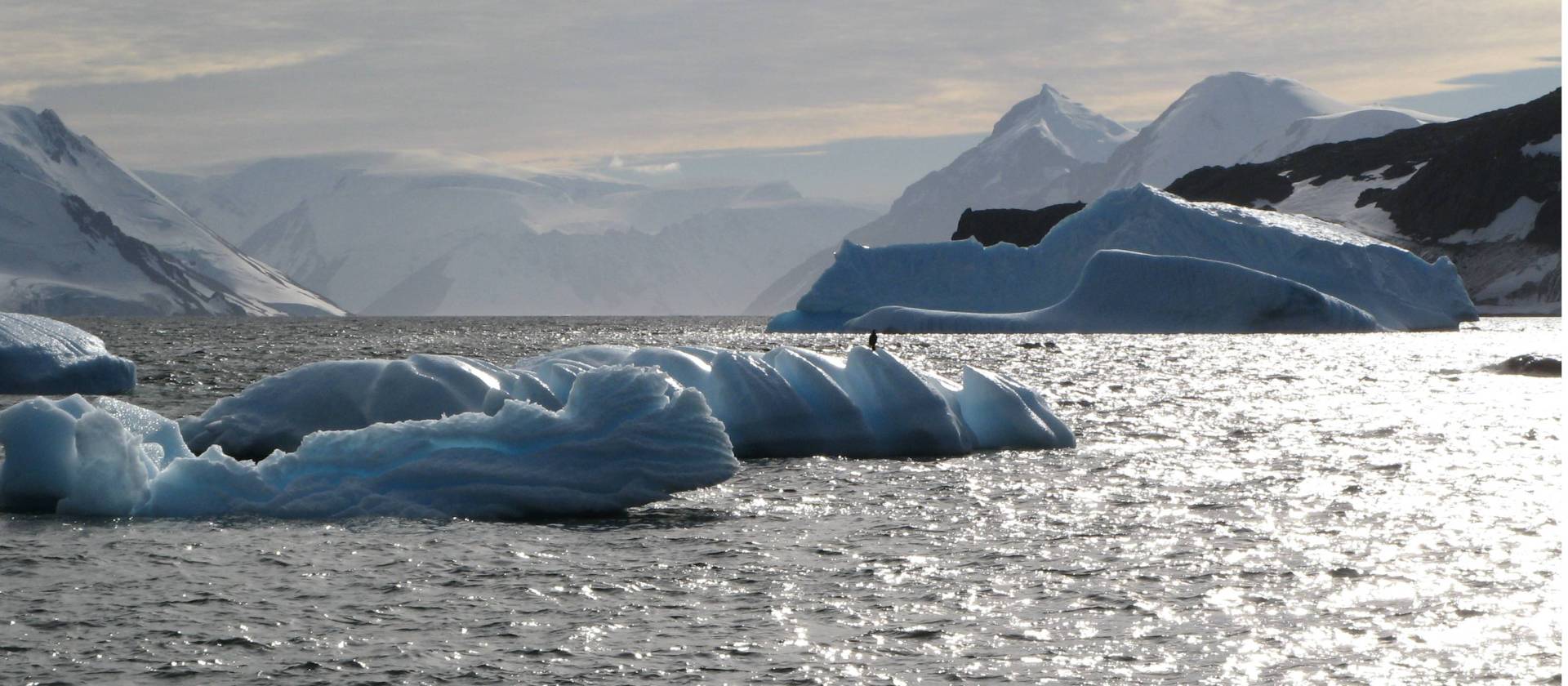 The stunning landscape of the Antarctic Peninsula. | Sarah Higgins