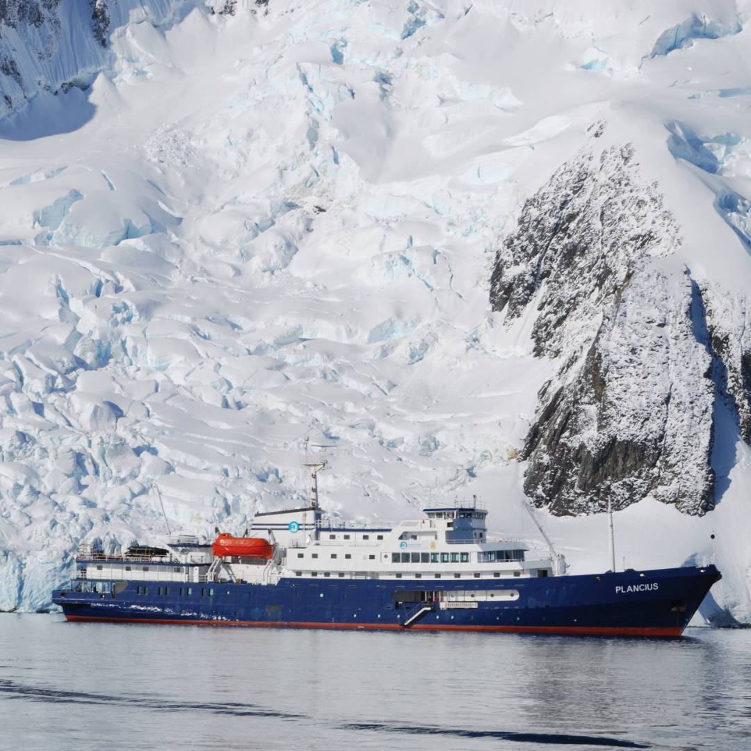 The Plancius | Scott Pinnegar