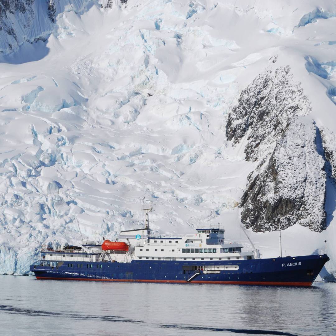 The Plancius | Scott Pinnegar