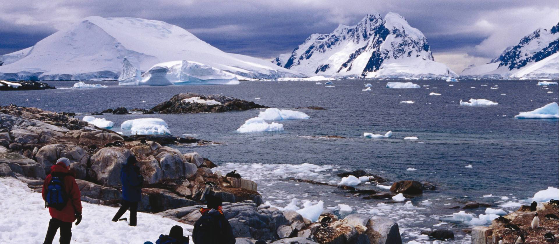 A shore excursion in the Antarctic Peninsula | Richard I'Anson