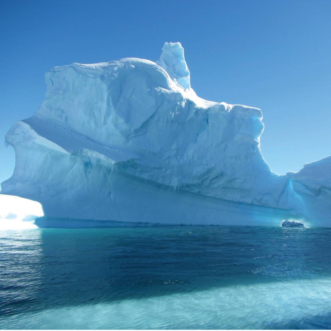 Icebergs off the Antarctic peninsula | Learna Cale