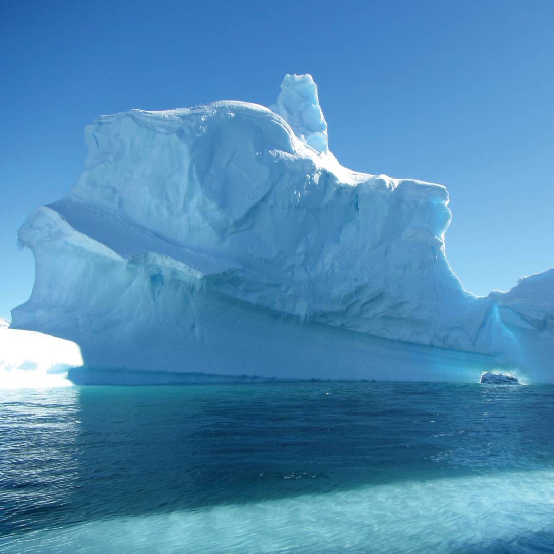 Icebergs off the Antarctic peninsula | Learna Cale