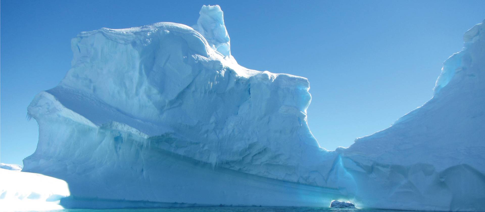 Icebergs off the Antarctic peninsula | Learna Cale