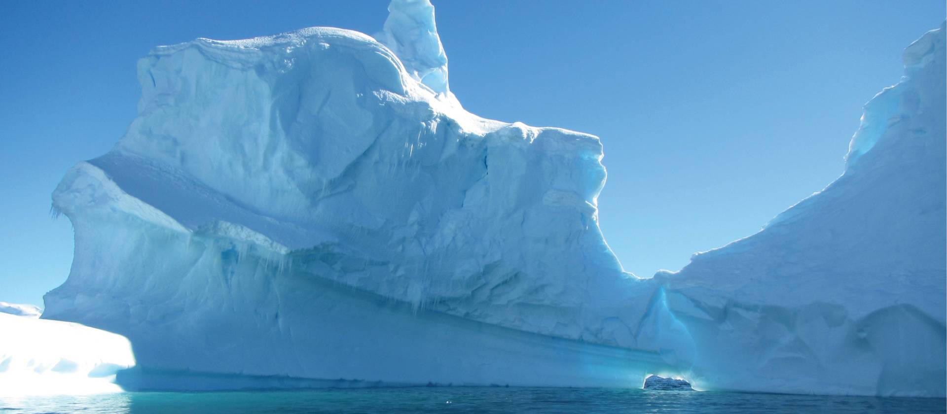 Icebergs off the Antarctic peninsula | Learna Cale