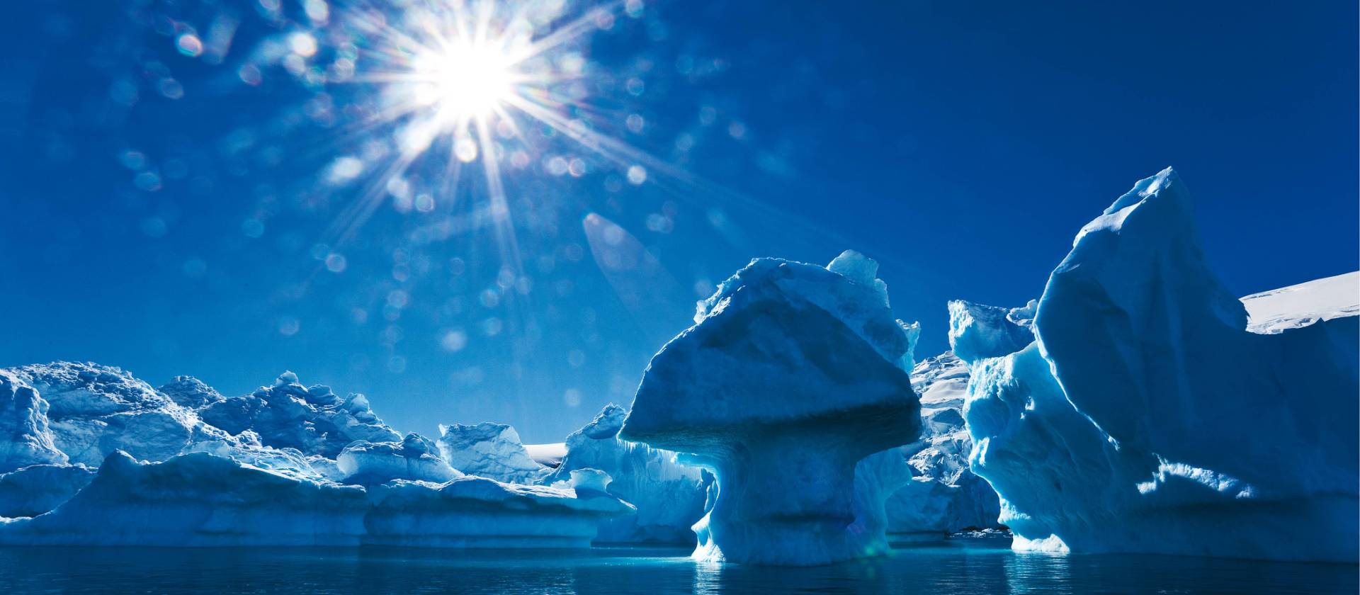 The majestic beauty of the Antarctic Peninsula | Peter Walton