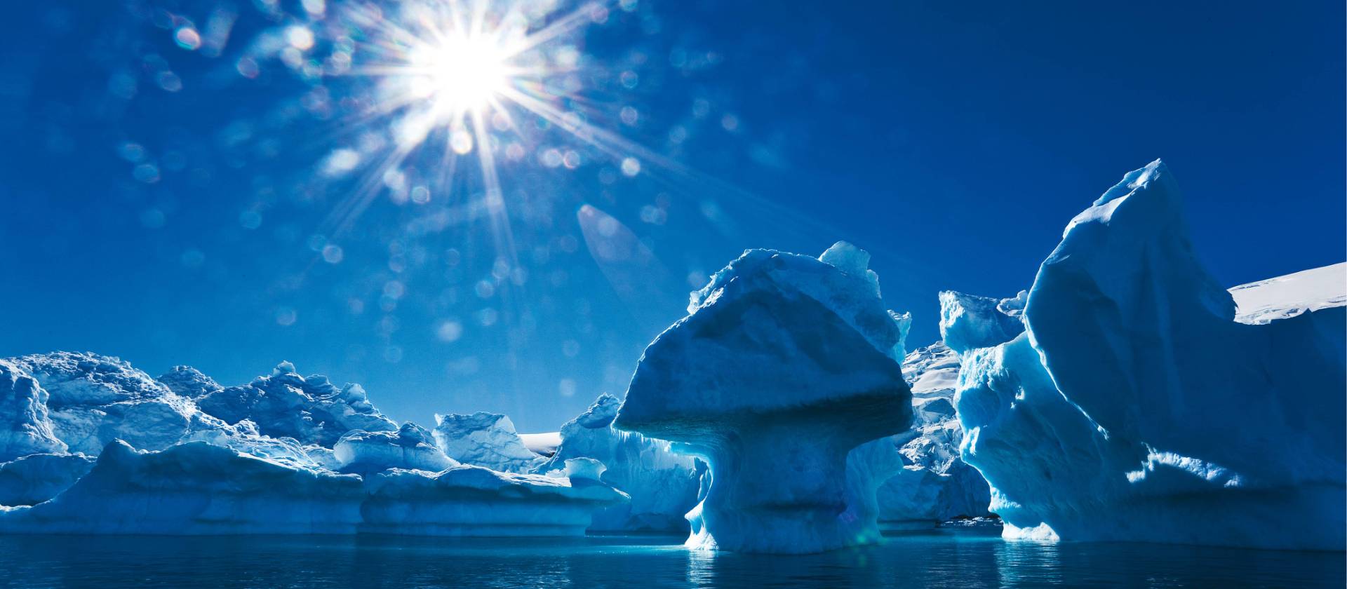 The majestic beauty of the Antarctic Peninsula | Peter Walton