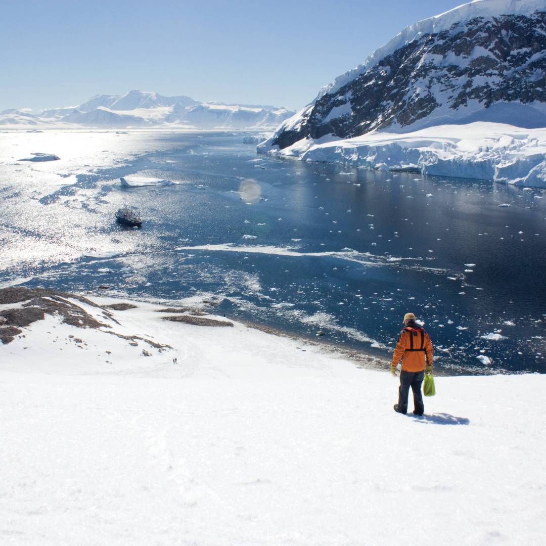 Vast proportions of the Antarctic peninsula | Learna Cale