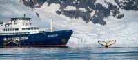 Life onboard Plancius | Dietmar Denger