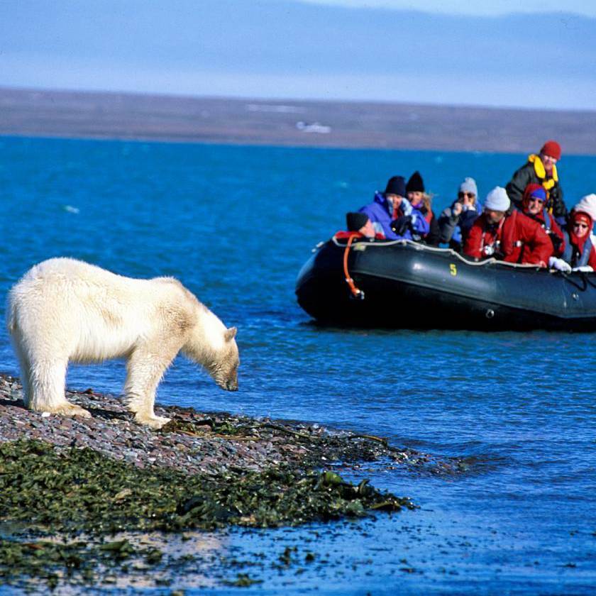 Wildlife viewing on Spitsbergen | Rinie van Meurs