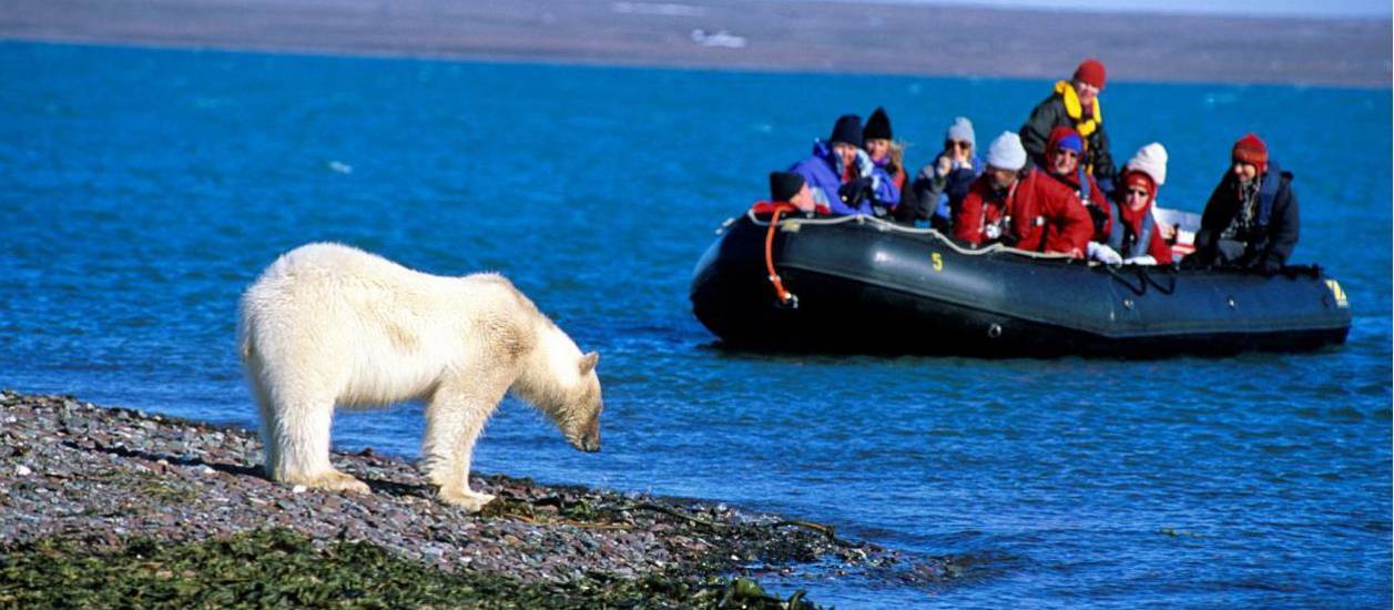 Wildlife viewing on Spitsbergen | Rinie van Meurs