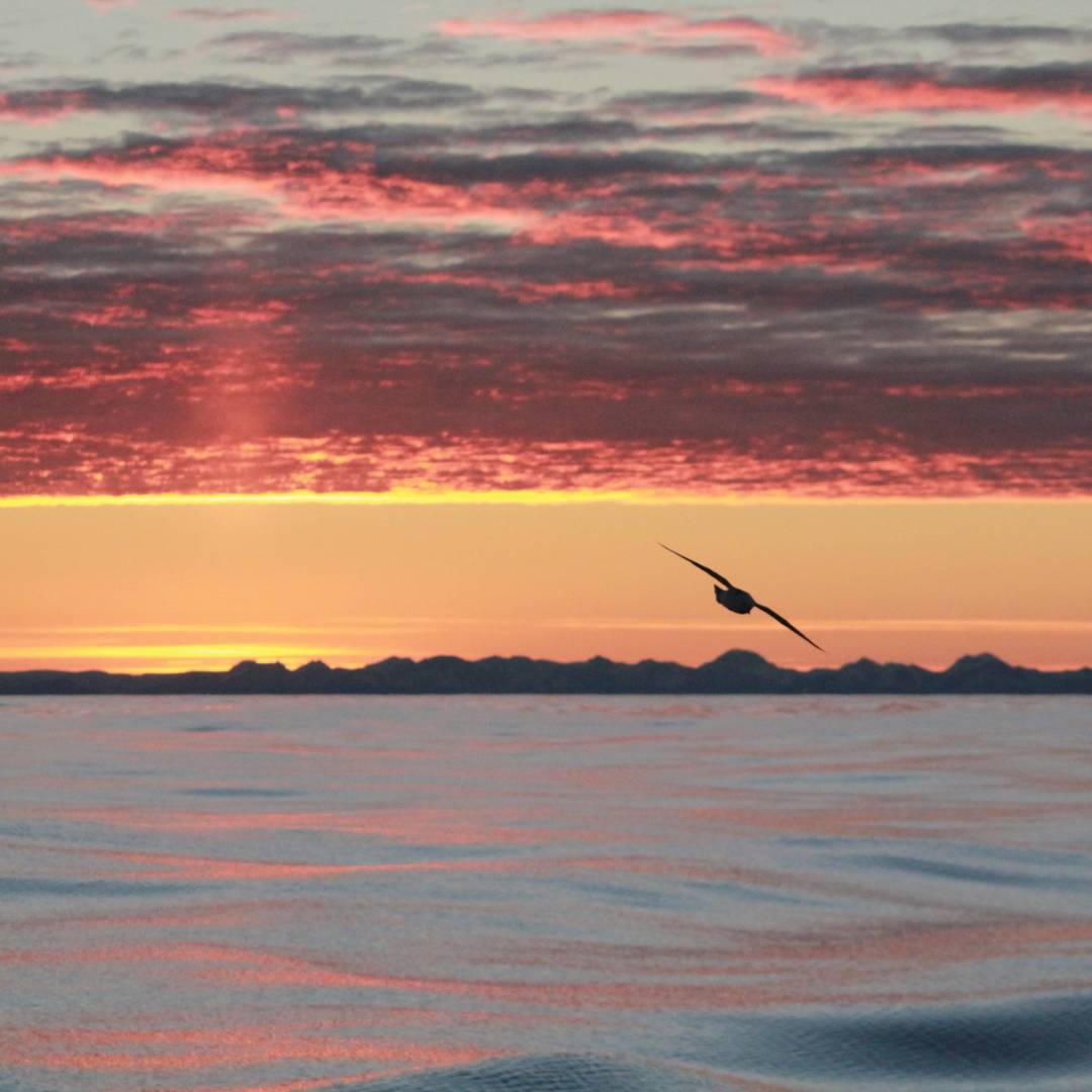 Varied colours of sunset in the Arctic | Rachel Imber