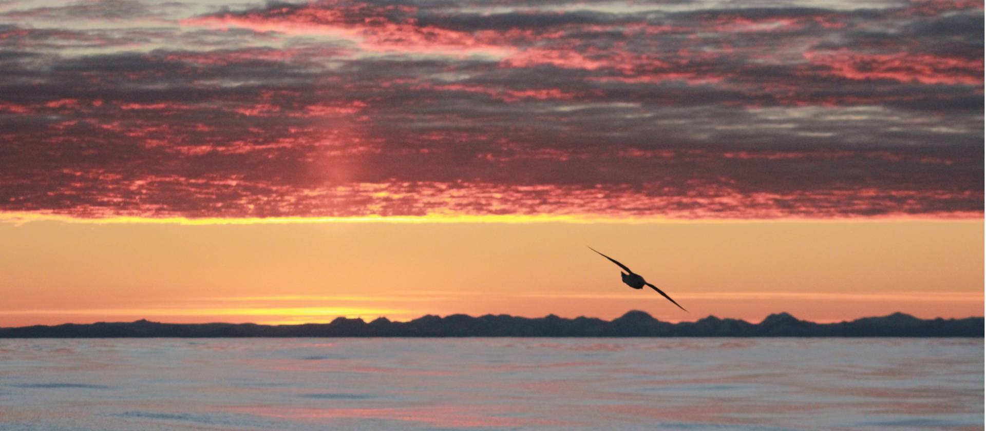 Varied colours of sunset in the Arctic | Rachel Imber