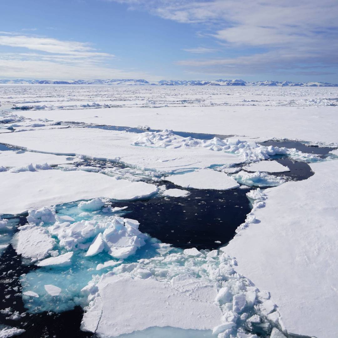 Views across the pack ice | Gesine Cheung