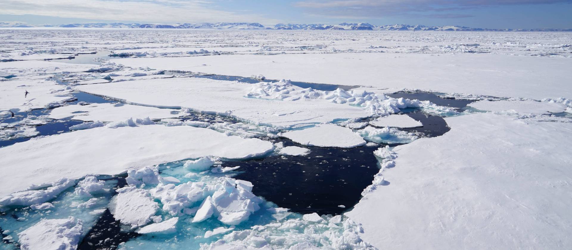 Views across the pack ice | Gesine Cheung