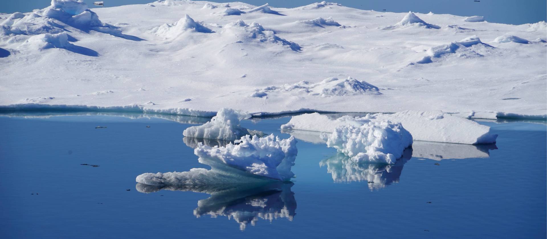 Calm reflections sailing Svalbard | Gesine Cheung
