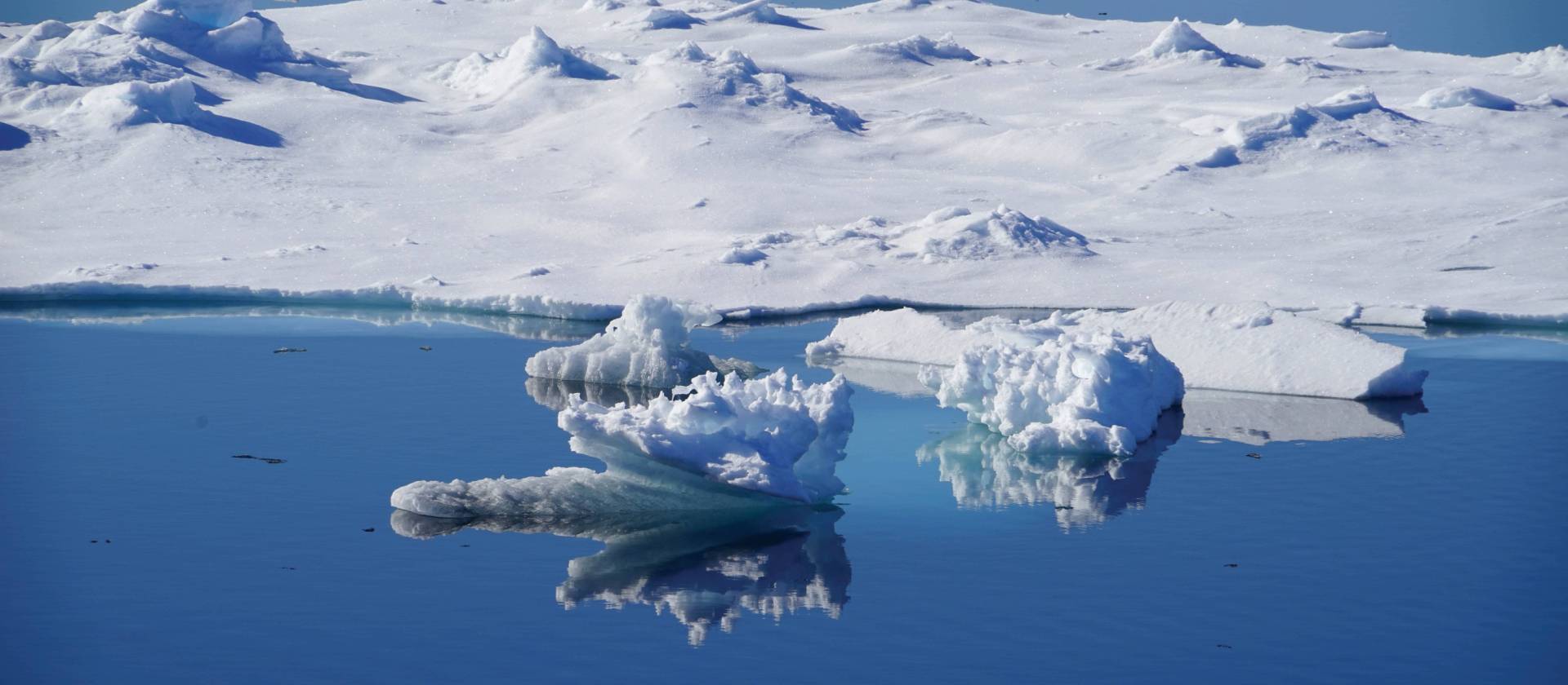 Calm reflections sailing Svalbard | Gesine Cheung