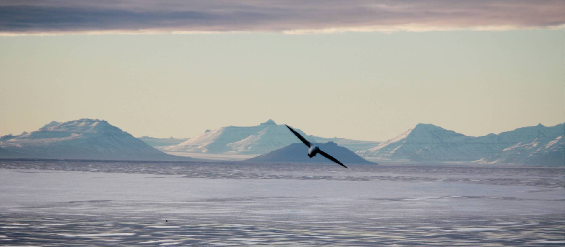 The spectacular east coast of Greenland | Rachel Imber
