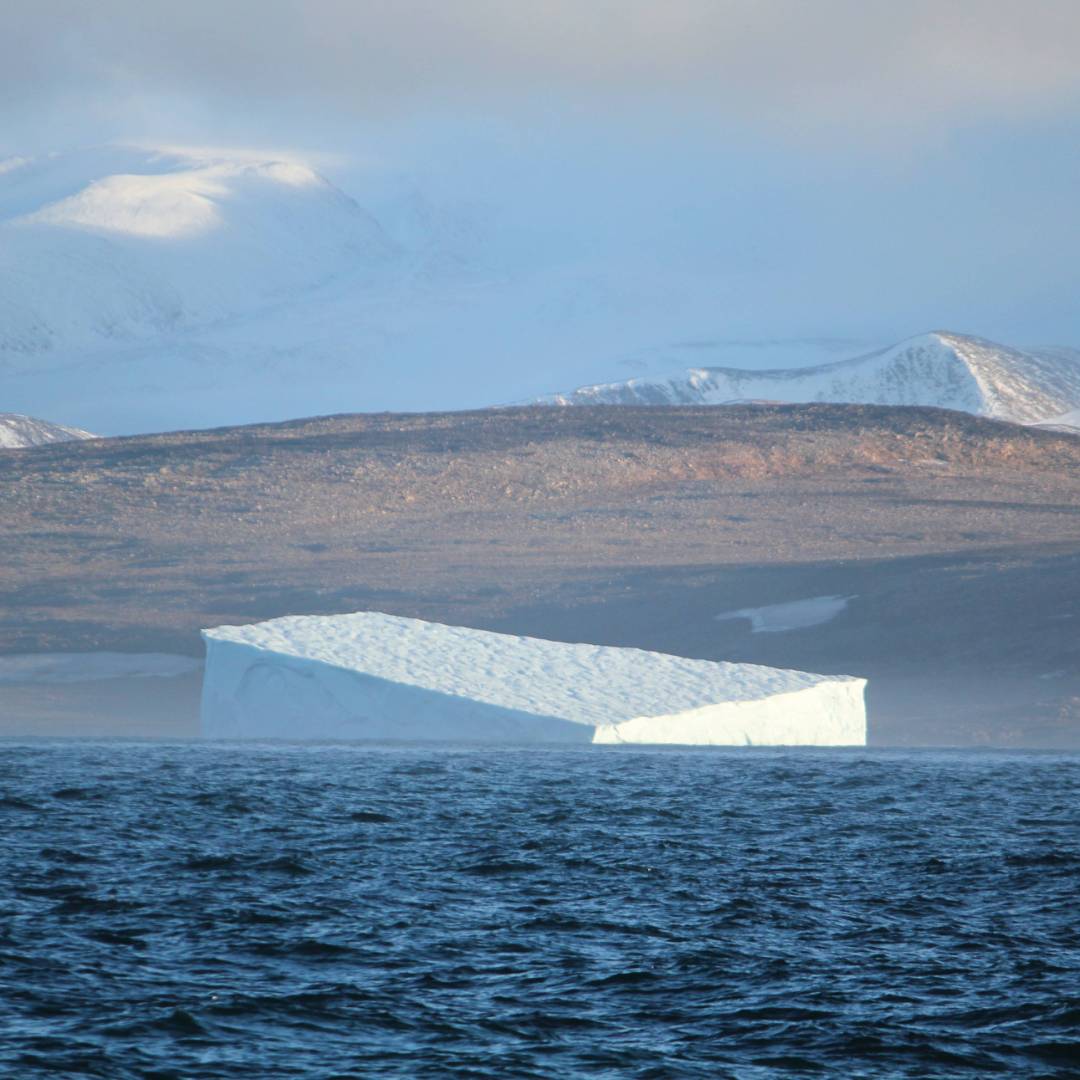 The majestic beauty of Greenland | Rachel Imber