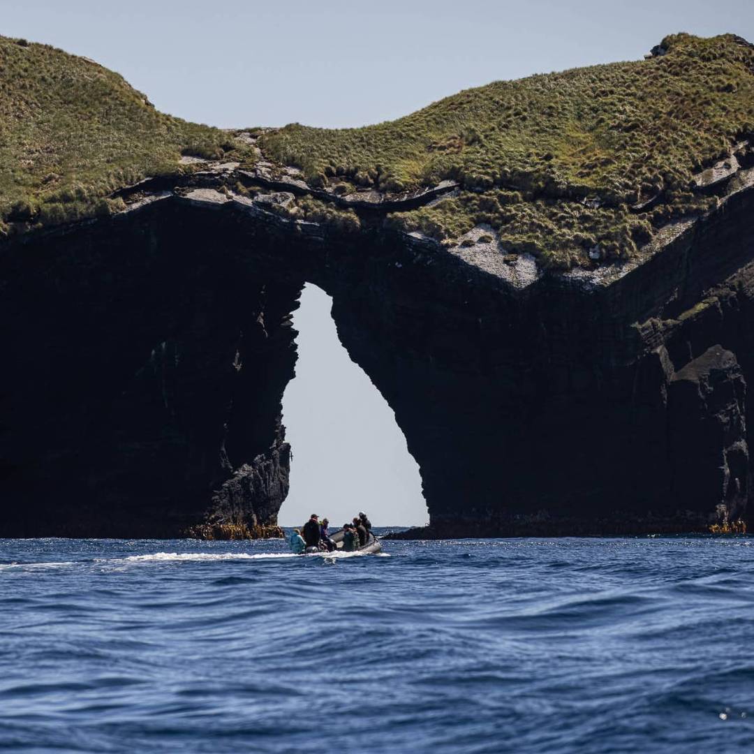 Zodiac cruising in the Antipodes Islands | A Woods
