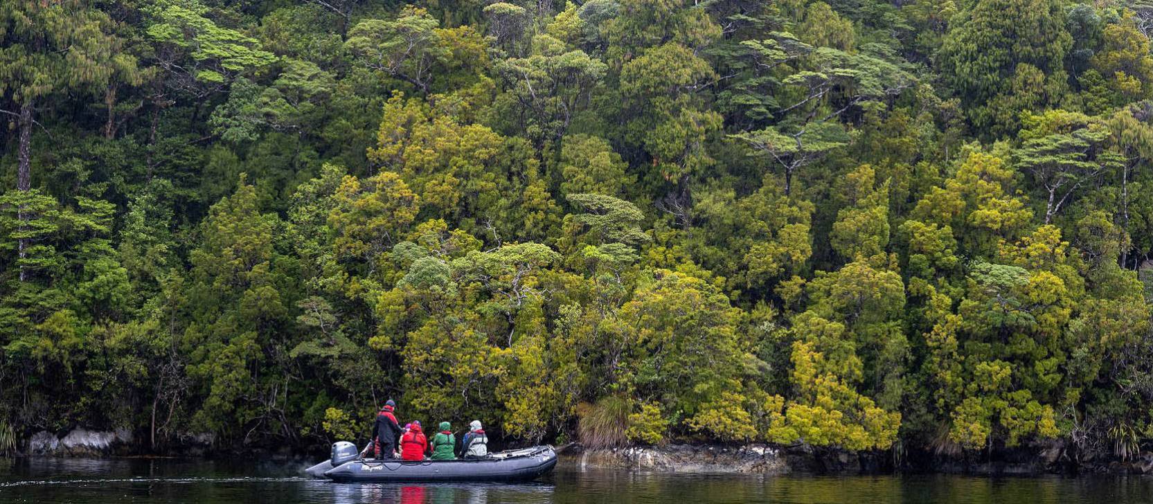 Exploring deep in Fiordland by zodiac | Steve Bradley