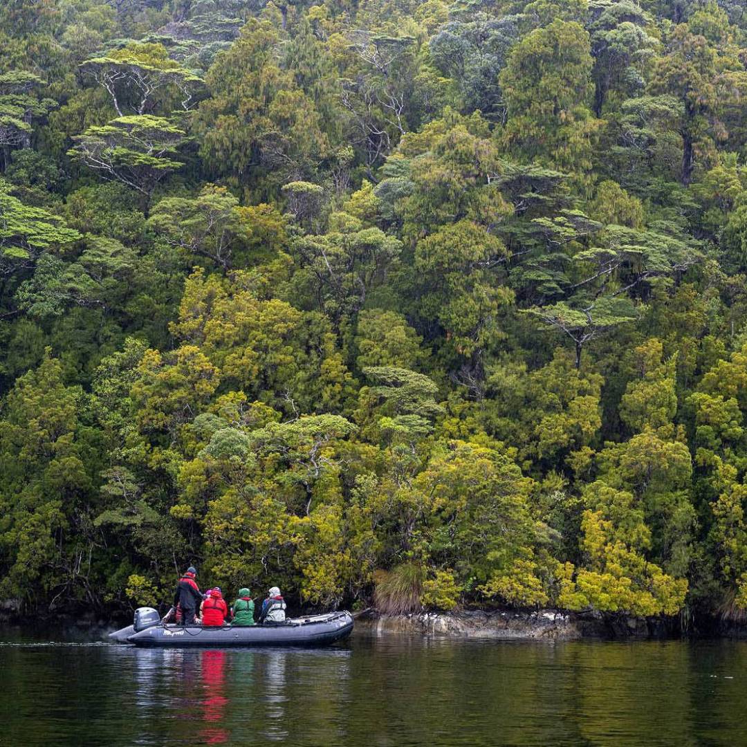Exploring deep in Fiordland by zodiac | Steve Bradley