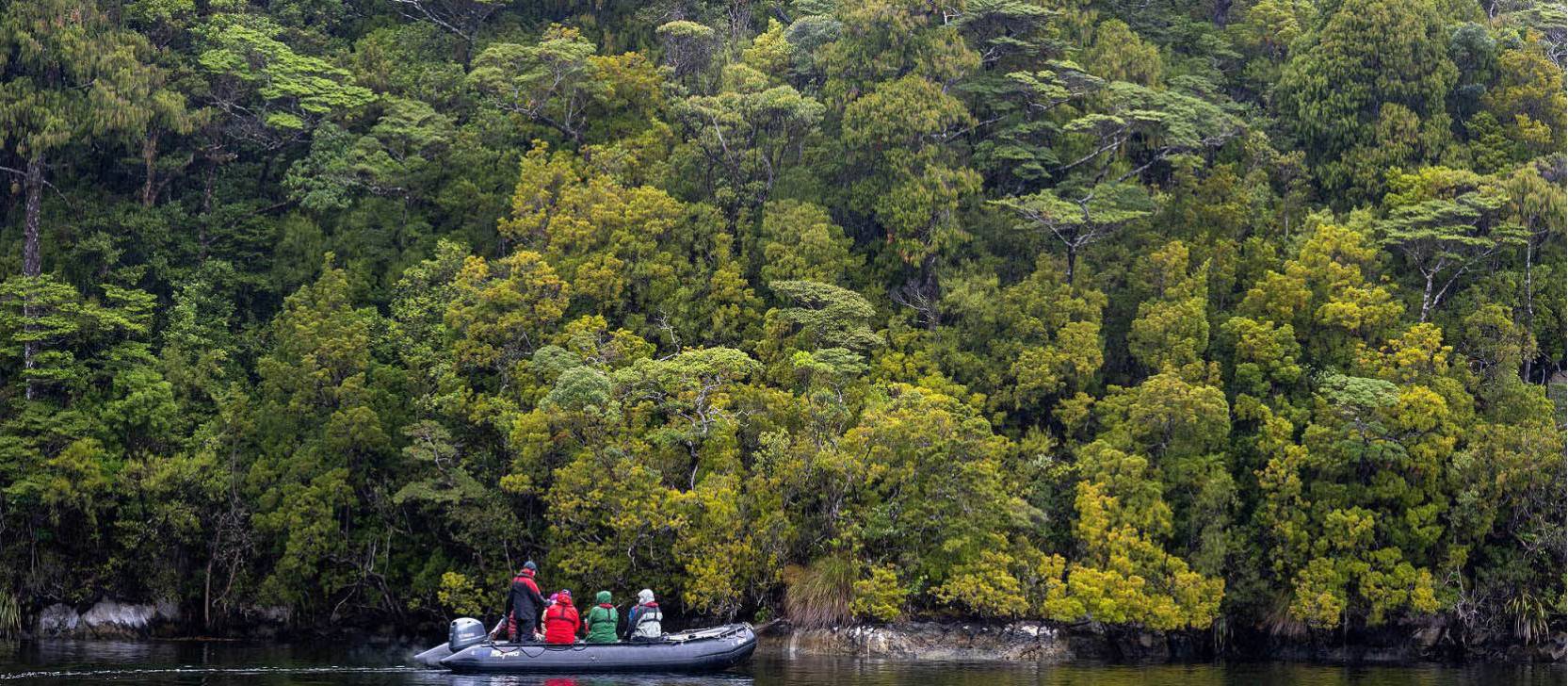 Exploring deep in Fiordland by zodiac | Steve Bradley