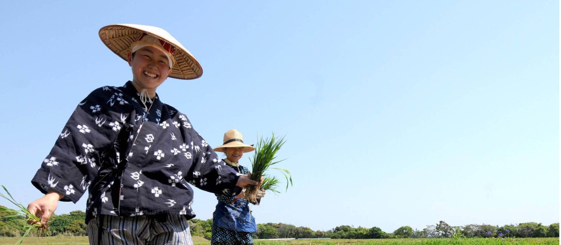 Rice farmers in Japan | Aaron Russ
