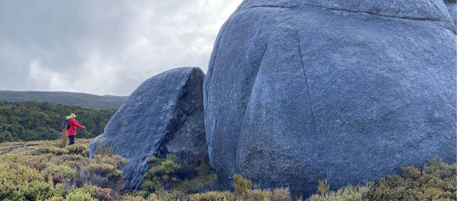 Walking on Stewart Island | L Wilson