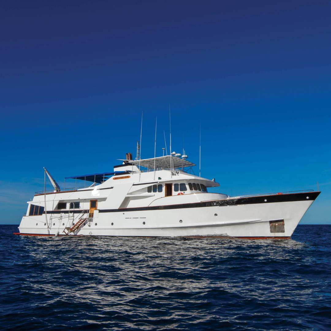 Cruising the open ocean aboard Beluga