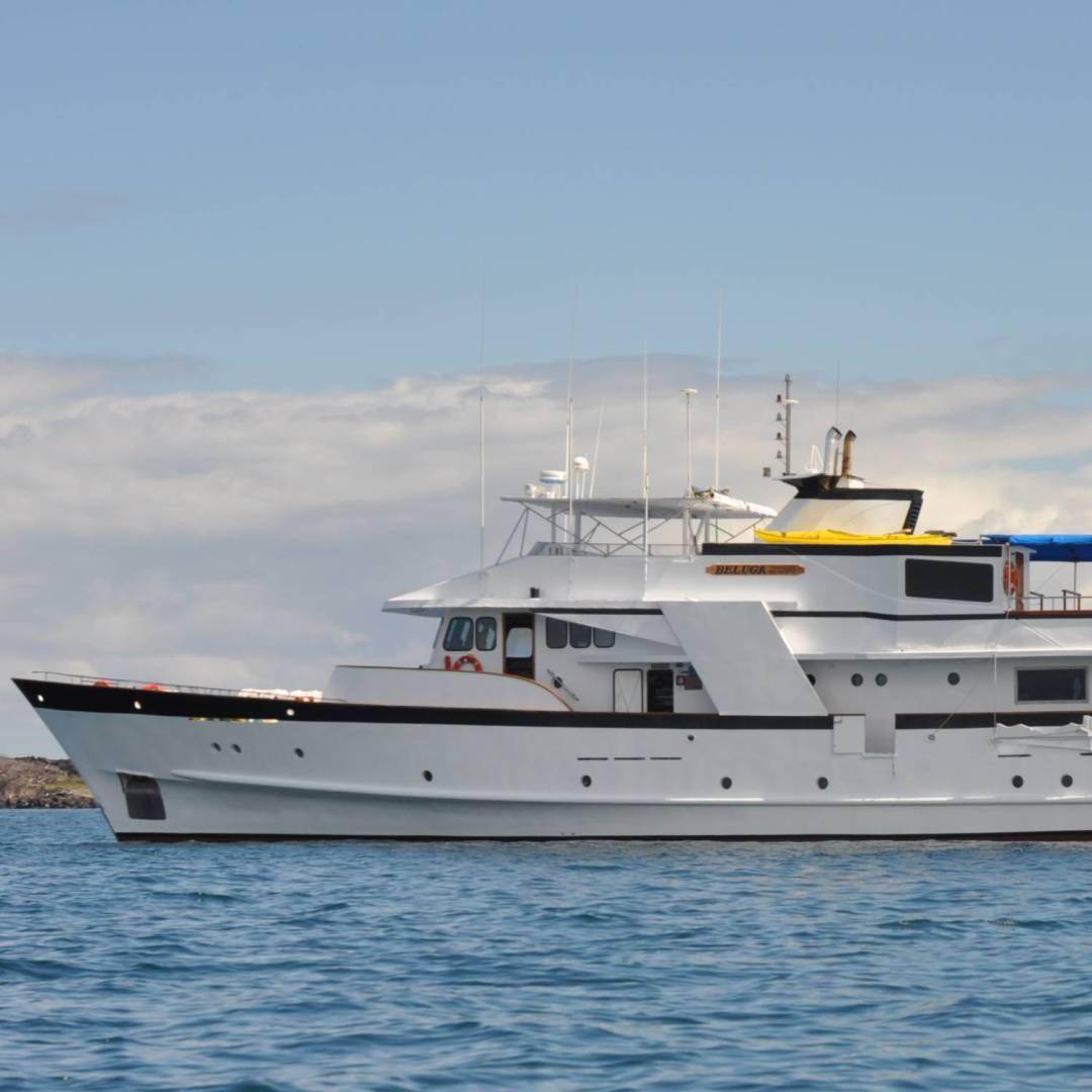Sailing the Galapagos Islands on Beluga