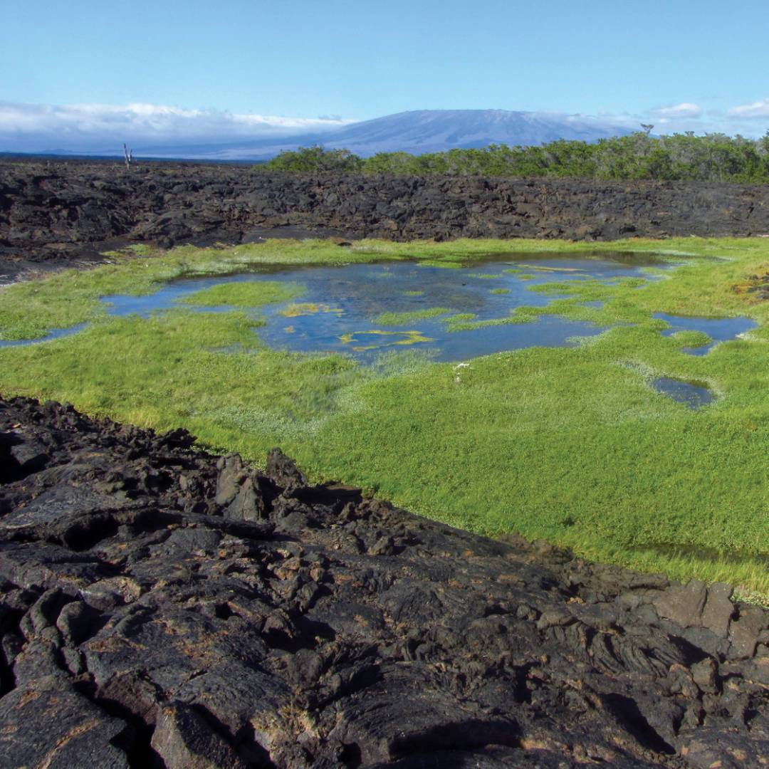 Rocky scenery on the Galapagos Islands | Marta Ticha