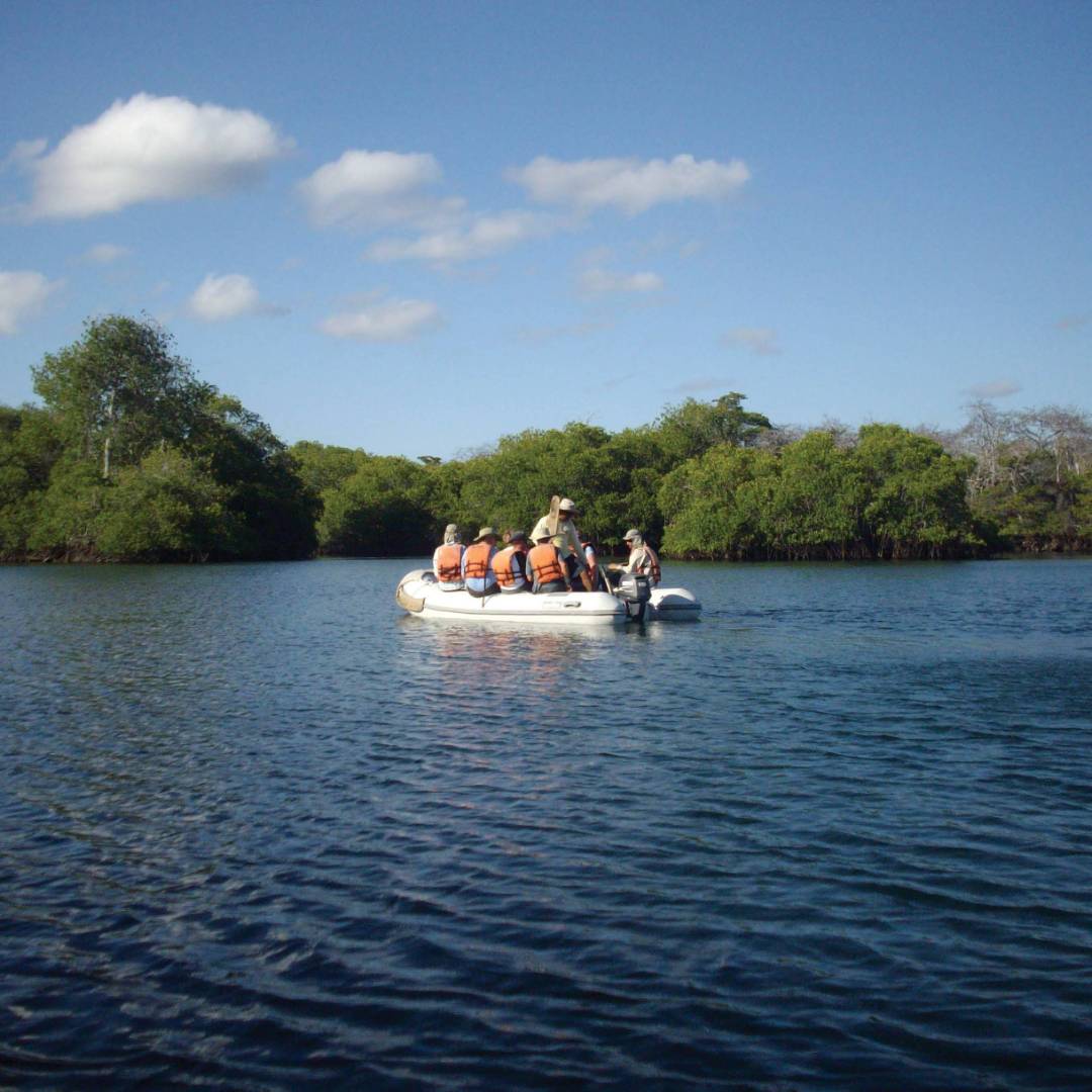 Zodiac cruising through the Galapagos Islands | Marta Ticha