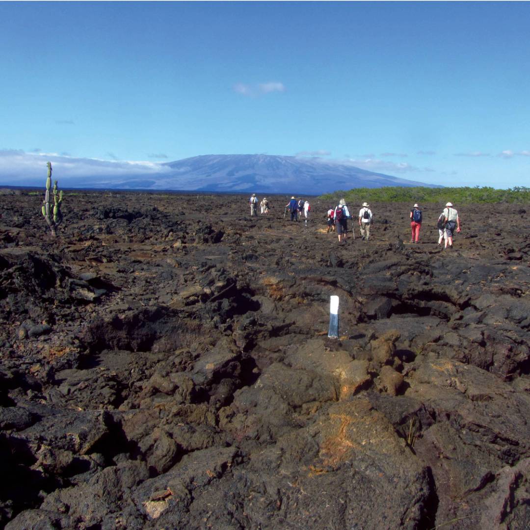 Enjoy walks across the rocky Galapagos Islands landscape | Marta Ticha