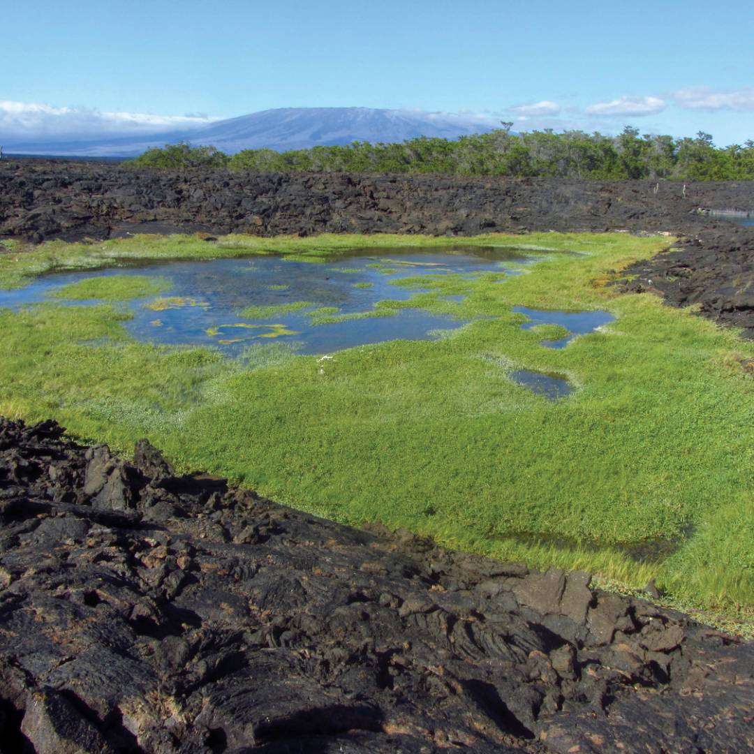 Rocky scenery on the Galapagos Islands | Marta Ticha