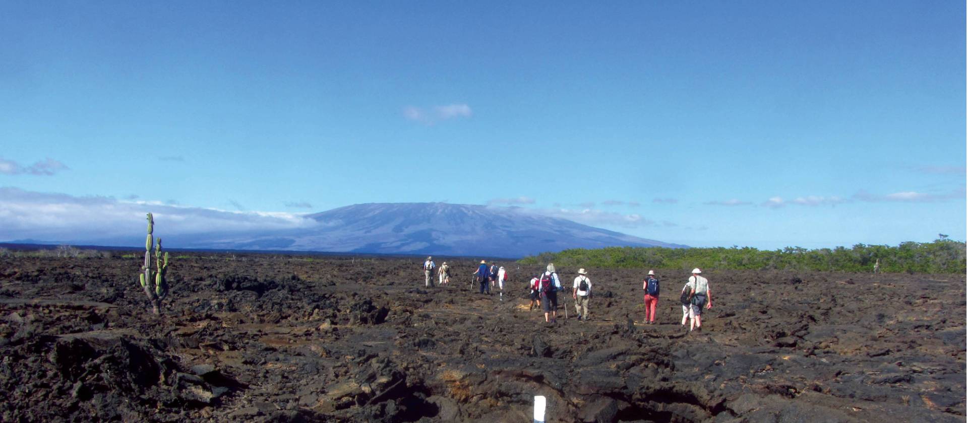 Enjoy walks across the rocky Galapagos Islands landscape | Marta Ticha