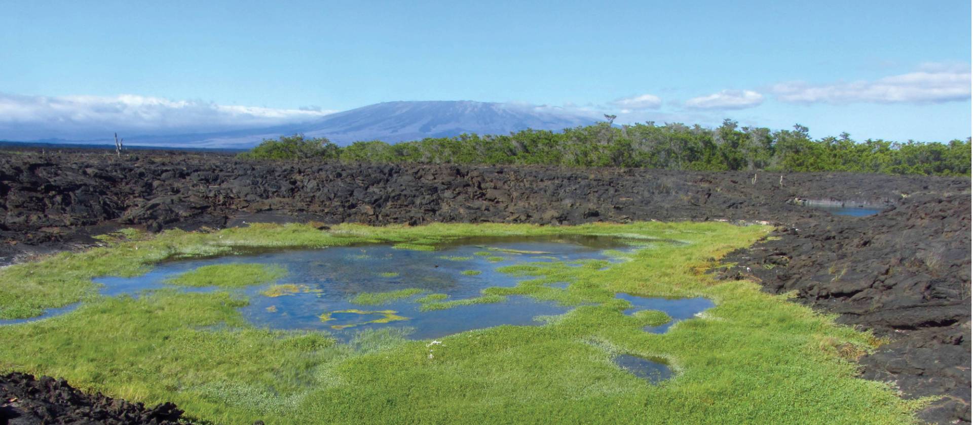 Rocky scenery on the Galapagos Islands | Marta Ticha