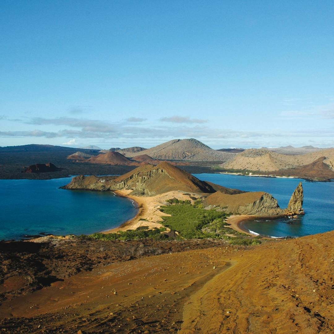 Explore the diverse ecosystem of the Galapagos Islands
