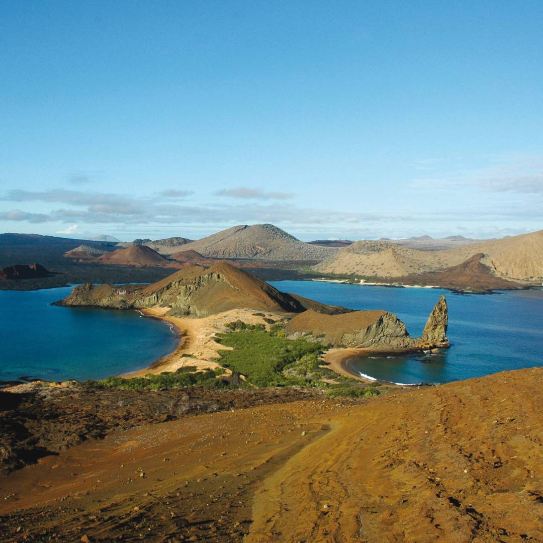 Explore the diverse ecosystem of the Galapagos Islands