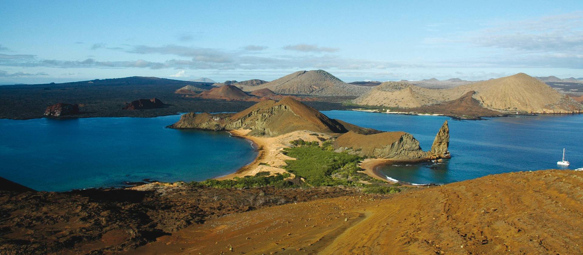 Explore the diverse ecosystem of the Galapagos Islands