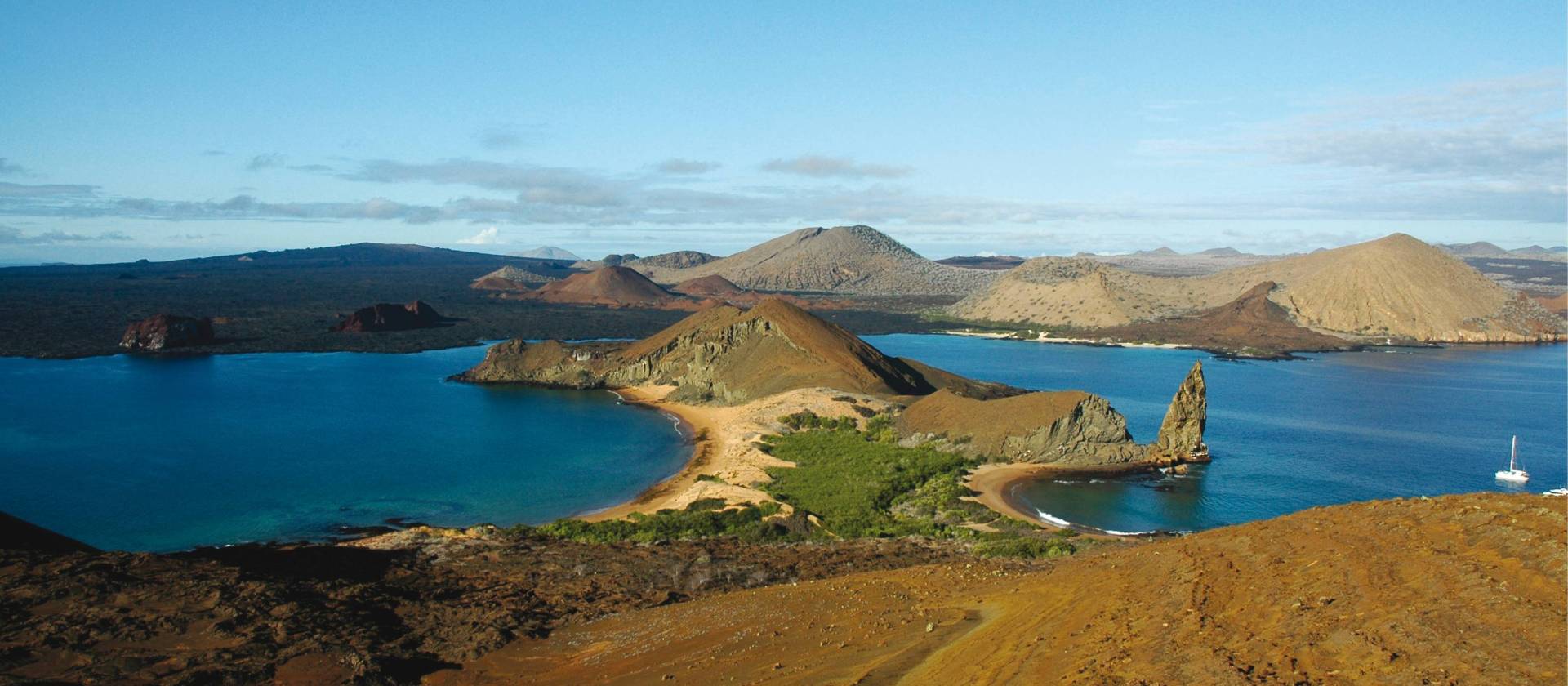 Explore the diverse ecosystem of the Galapagos Islands