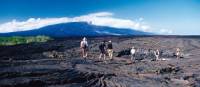 Galapagos Islands Landscape | Richard I'Anson