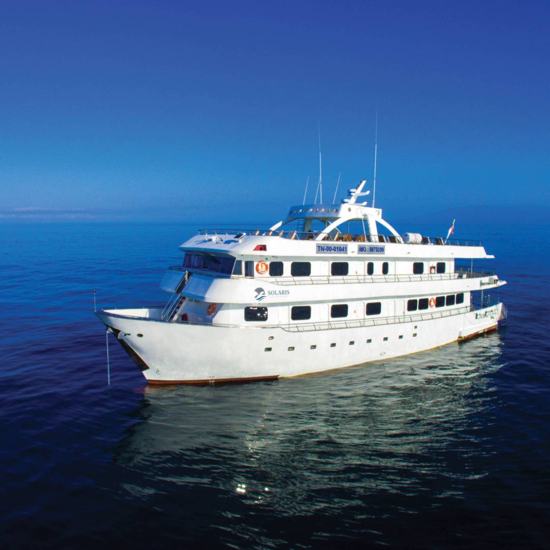 Exterior views of Solaris